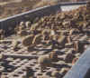 Rubber Screen Media