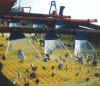 Polyurethane Screen Media